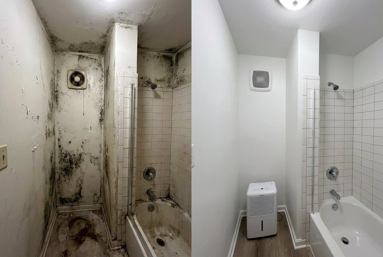 Before and after mold inspection & moisture assessment in Cresskill split-level home bathroom